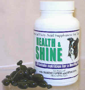 Order a Dr. Harvey's Health & Shine Online from Just for Pooches Dog Toys and Gifts
