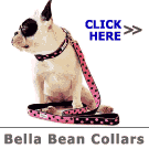 New Product - Bella Bean Collars
