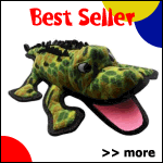 Check Out One of Our Bestsellers!

