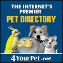 List Your Product Or Service in the Internet's Premier Directory